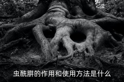 蟲酰肼的作用和使用方法是什么