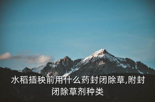 什么農藥不傷水稻種子,水稻種子浸種用什么農藥