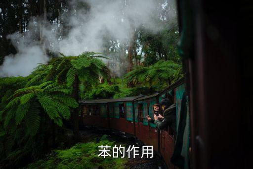 苯的作用