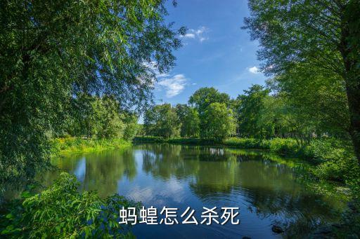 除蝗農藥用什么,什么農藥無色無味