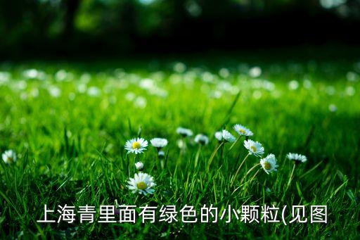 上海青用什么農藥殺,炒上海青一股農藥味