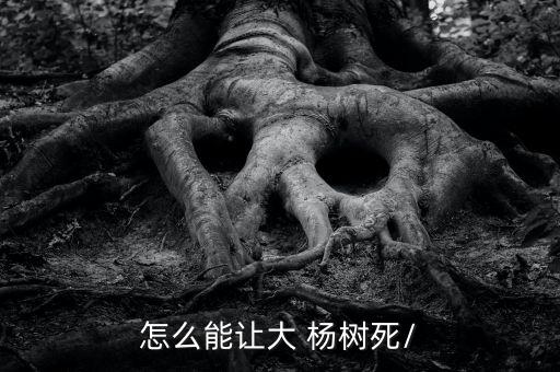 怎么能讓大 楊樹死/