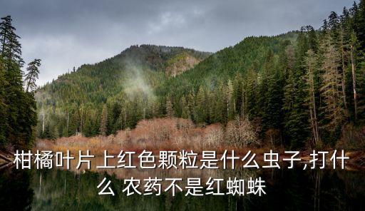 青桔子紅油打什么農(nóng)藥