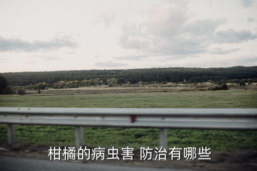柑橘一般用什么農藥防治,三月份柑橘打什么農藥
