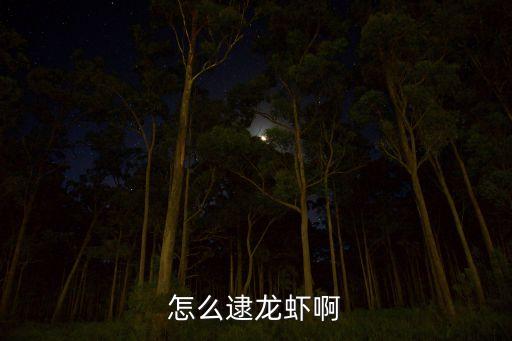 怎么逮龍蝦啊