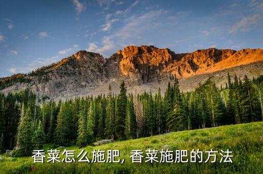  香菜怎么施肥, 香菜施肥的方法