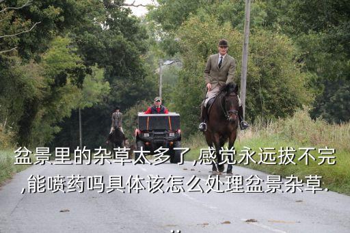 盆景里的雜草太多了,感覺永遠拔不完,能噴藥嗎具體該怎么處理盆景雜草...