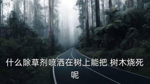 什么除草劑噴灑在樹上能把 樹木燒死呢