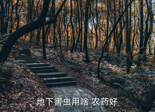 什么農藥能打線蟲蟲,打農藥一般什么時間打比較好