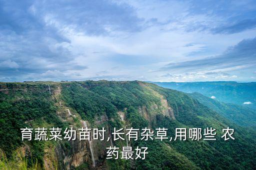 育蔬菜幼苗時,長有雜草,用哪些 農藥最好