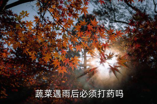 露天蔬菜什么農(nóng)藥不能打,洗蔬菜用什么洗去農(nóng)藥