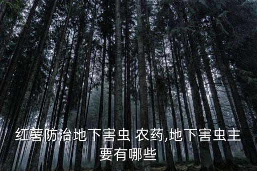 紅薯防治地下害蟲 農藥,地下害蟲主要有哪些