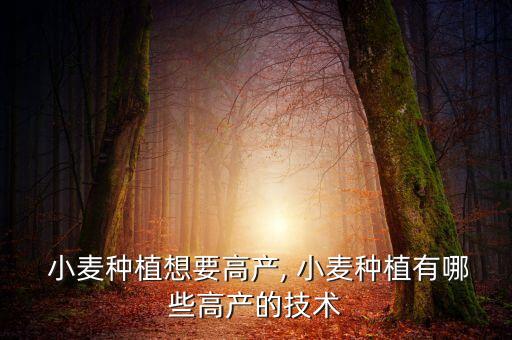  小麥種植想要高產, 小麥種植有哪些高產的技術