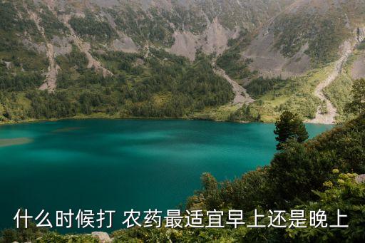 壯苗農藥什么時候打,打農藥的時間在什么時候最好
