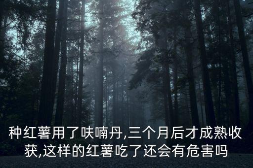 種紅薯用了呋喃丹,三個(gè)月后才成熟收獲,這樣的紅薯吃了還會(huì)有危害嗎