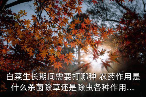 什么農(nóng)藥大白菜蟲,大白菜打什么農(nóng)藥最好