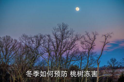 冬季如何預防 桃樹凍害