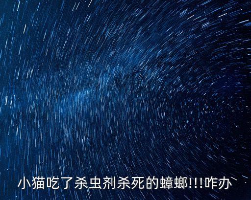 小貓吃了殺蟲劑殺死的蟑螂!!!咋辦