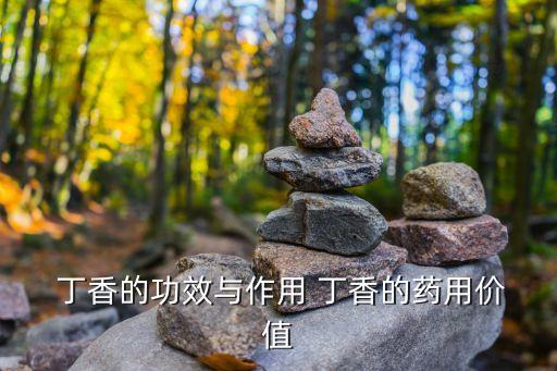 ? 丁香的功效與作用 丁香的藥用價值