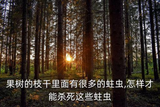 果樹的枝干里面有很多的蛀蟲,怎樣才能殺死這些蛀蟲