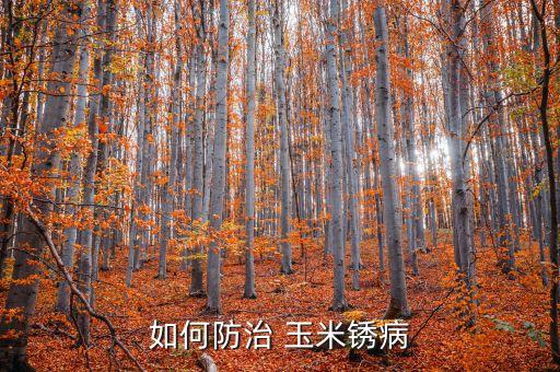 玉米葉生銹用什么農藥視頻