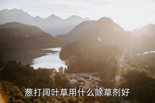 大蔥現(xiàn)在打 什么農(nóng)藥,大蔥需要打農(nóng)藥嗎