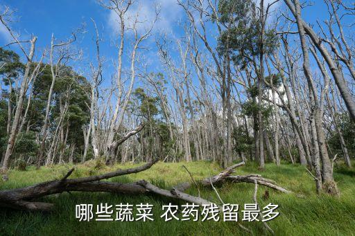 吃什么菜要加點農(nóng)藥,冬天吃什么菜農(nóng)藥少