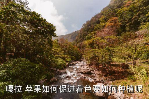 什么農藥蘋果上色好,給蘋果上色用什么農藥