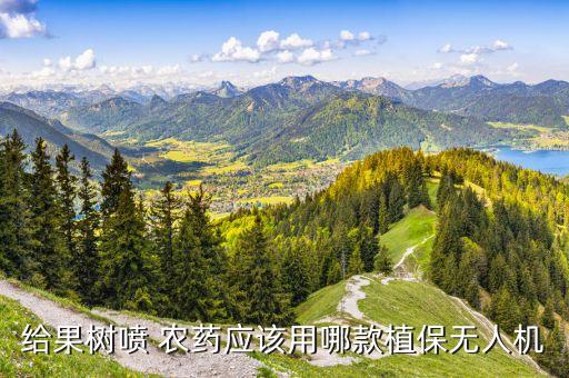 打農(nóng)藥飛機(jī)推薦什么機(jī)型,灑農(nóng)藥的飛機(jī)叫什么
