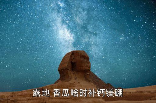 露地 香瓜啥時補鈣鎂硼