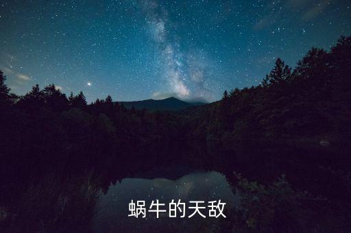  蝸牛的天敵