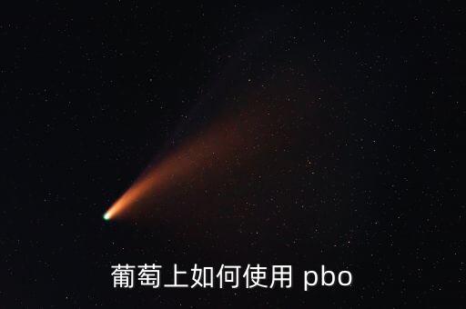 pbo是什么農藥,PBO是什么縮寫