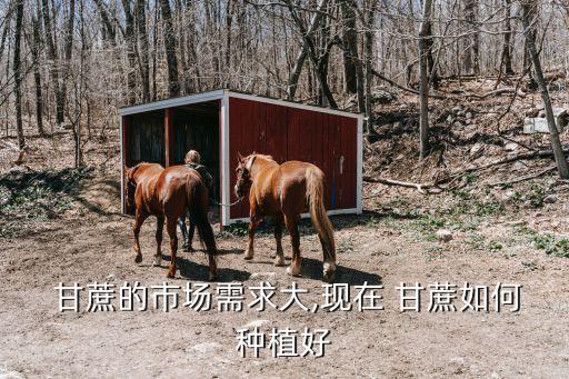 現(xiàn)在的甘蔗打什么農(nóng)藥最好