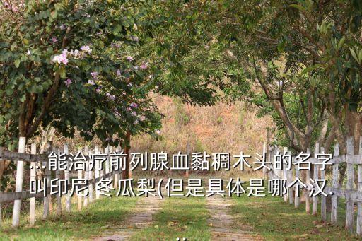 ...能治療前列腺血黏稠木頭的名字叫印尼 冬瓜梨(但是具體是哪個(gè)漢...