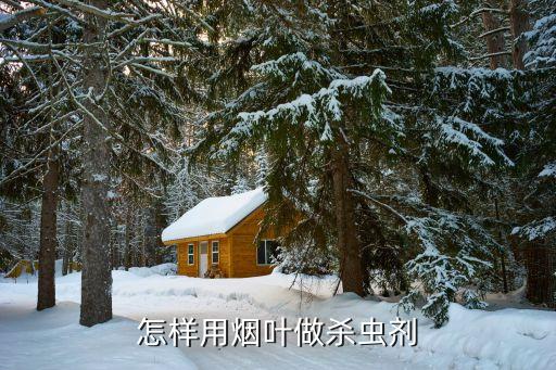,煙草上有黑灰打什么農藥