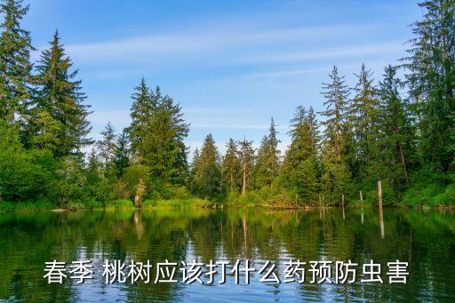 春季 桃樹應(yīng)該打什么藥預(yù)防蟲害