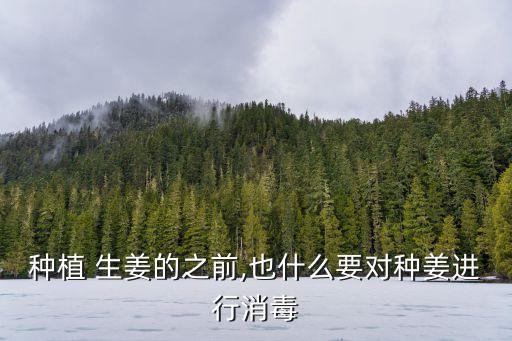 種植 生姜的之前,也什么要對種姜進行消毒