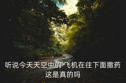 聽說今天天空中的 飛機在往下面撒藥這是真的嗎