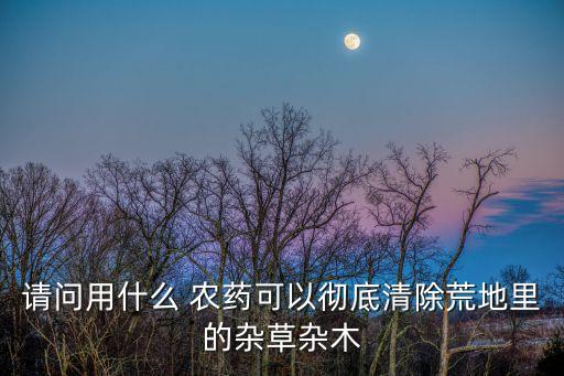 請問用什么 農藥可以徹底清除荒地里的雜草雜木