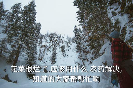 花菜根爛了,應該用什么 農藥解決,知道的大家幫幫忙啊