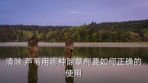 什么農(nóng)藥能殺蘆葦,什么除草劑殺蘆葦