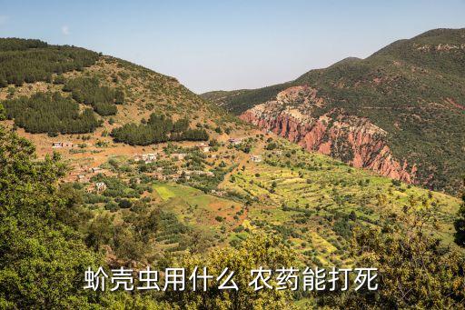 蚧殼蟲用什么 農藥能打死