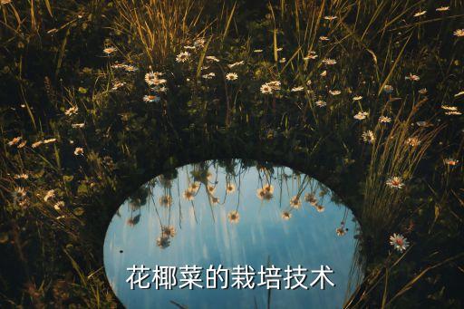 花椰菜的栽培技術(shù)