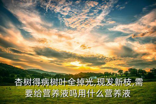  杏樹(shù)得病樹(shù)葉全掉光,現(xiàn)發(fā)新枝,需要給營(yíng)養(yǎng)液?jiǎn)嵊檬裁礌I(yíng)養(yǎng)液
