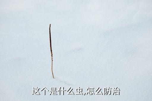酸沙農藥打什么蟲,蔬菜打農藥什么時間好