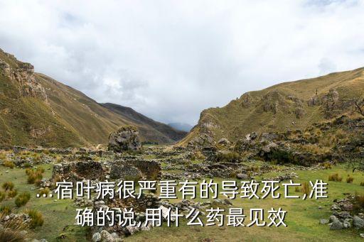...宿葉病很?chē)?yán)重有的導(dǎo)致死亡,準(zhǔn)確的說(shuō),用什么藥最見(jiàn)效