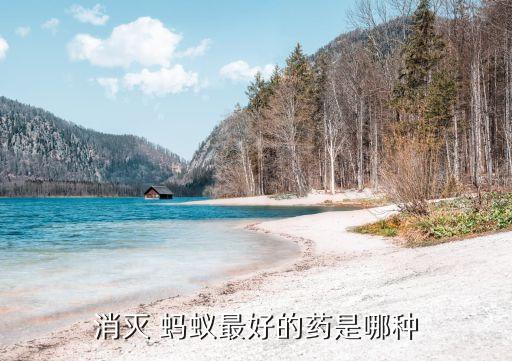 消滅 螞蟻最好的藥是哪種