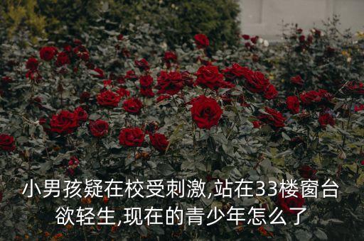 小男孩疑在校受刺激,站在33樓窗臺欲輕生,現在的青少年怎么了