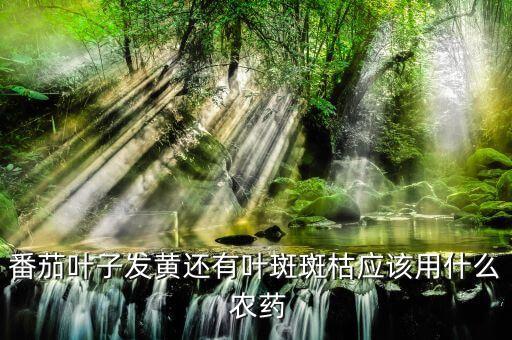 西紅柿要澆什么農(nóng)藥好些,種植西紅柿用什么農(nóng)藥