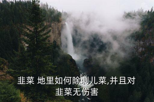 韭菜地里用什么農(nóng)藥,韭菜什么季節(jié)農(nóng)藥最多